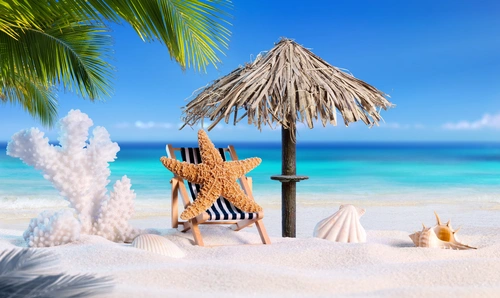 небо, море, песок, пляж, зонтик, пальма, морская звезда, стул, ракушки, коралл, голубые, белые
